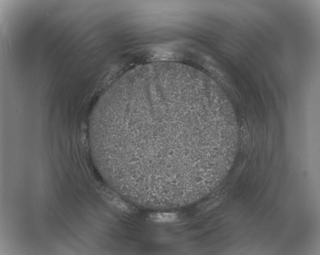 X0000063520361200602172221