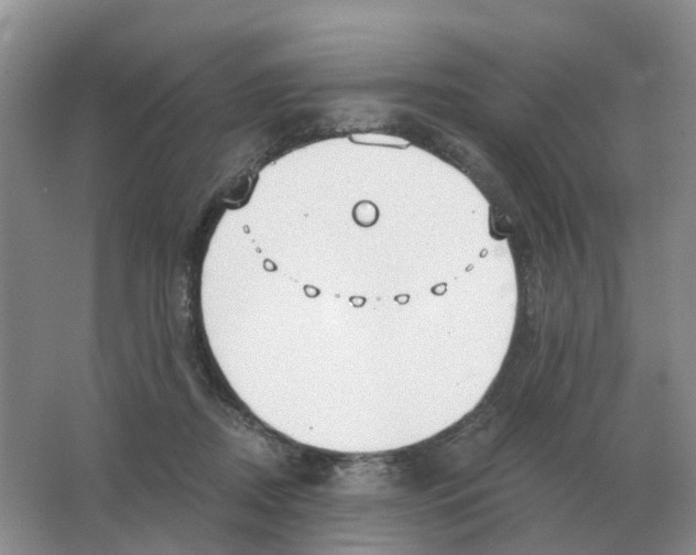 X0000063520362200602172221