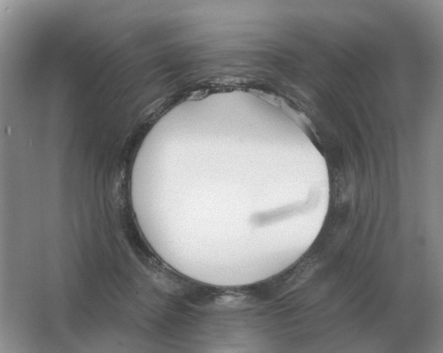 X0000063520364200602172221