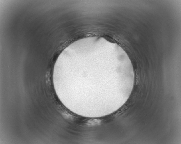 X0000063520369200602172221