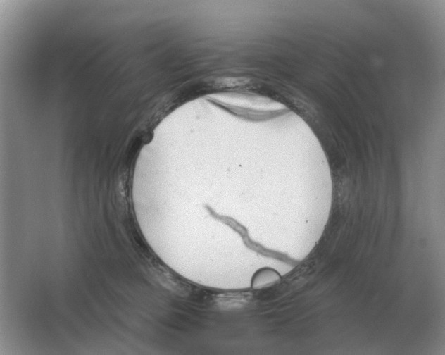 X0000063520373200602172221