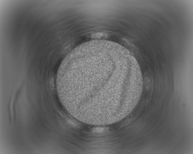 X0000063520375200602172221