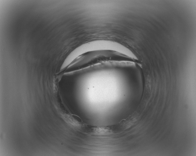 X0000063520380200602172221