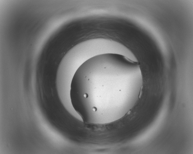 X0000063520382200602172221