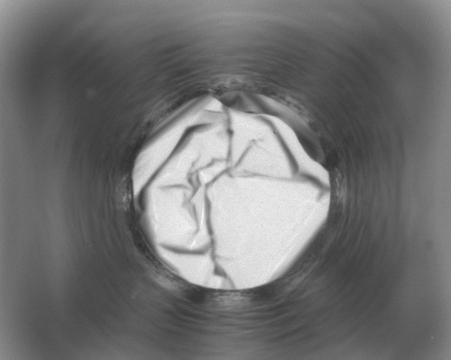 X0000063520383200602172221