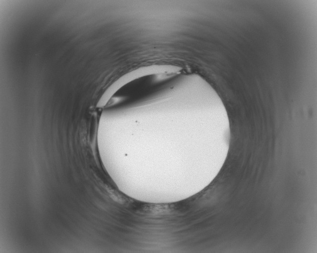 X0000063520384200602172221