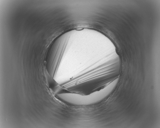 X0000063520385200602172220