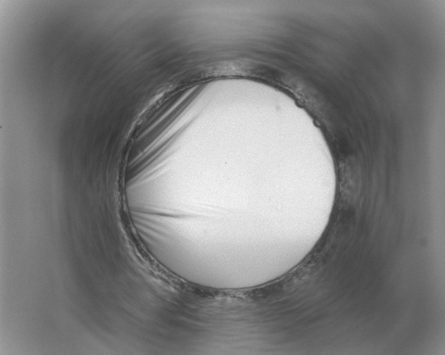 X0000063520386200602172220