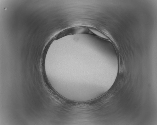 X0000063520387200602172220