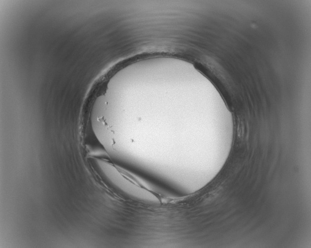 X0000063520388200602172220