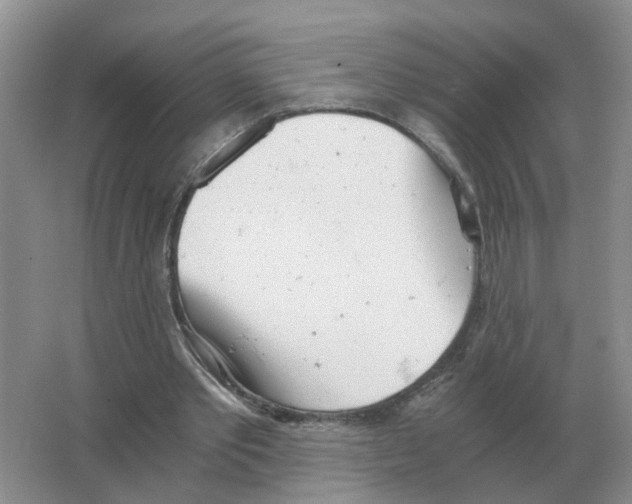 X0000063520389200602172220