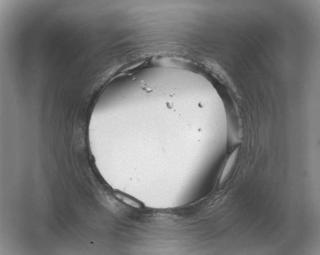 X0000063520393200602172220