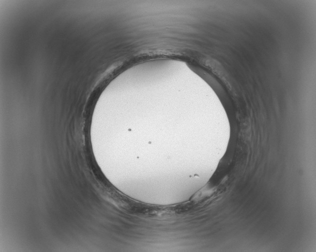 X0000063520395200602172220