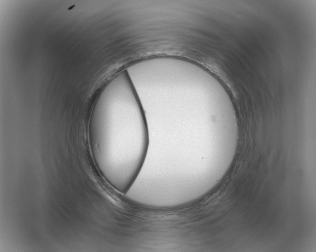 X0000063520397200602172220