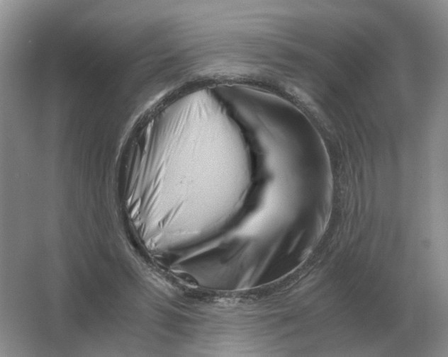 X0000063520399200602172220