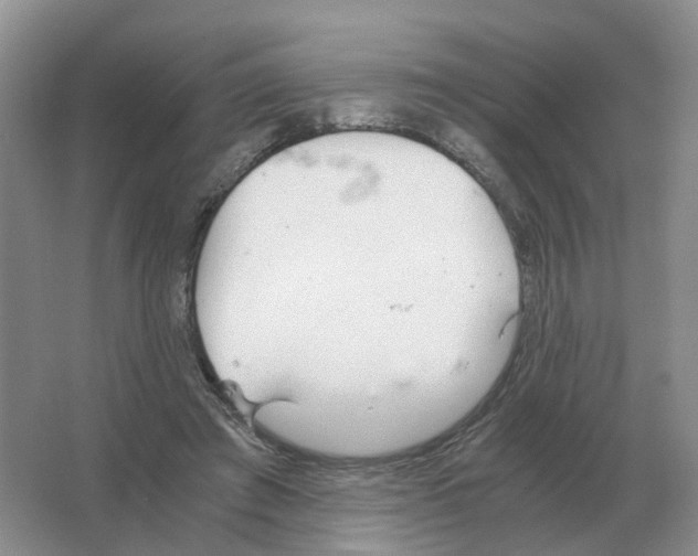 X0000063520401200602172220