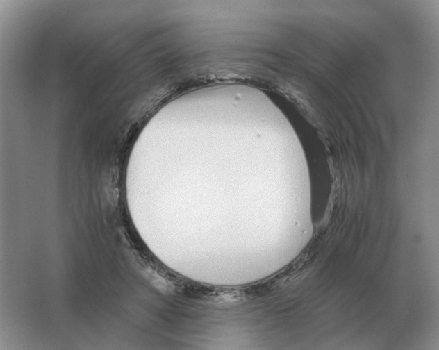 X0000063520402200602172220