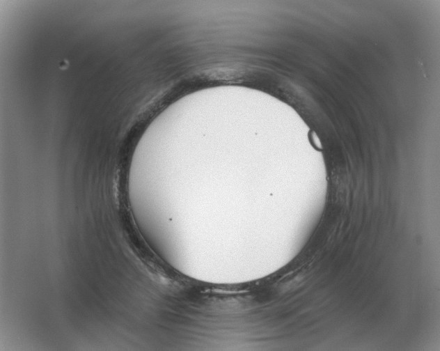 X0000063520404200602172220