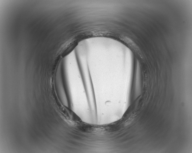 X0000063520405200602172220