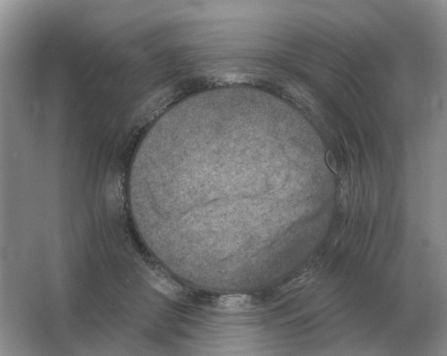 X0000063520410200602172220