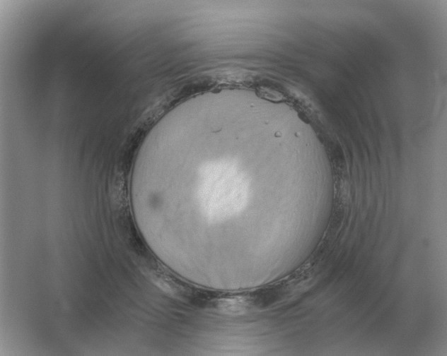 X0000063520411200602172220