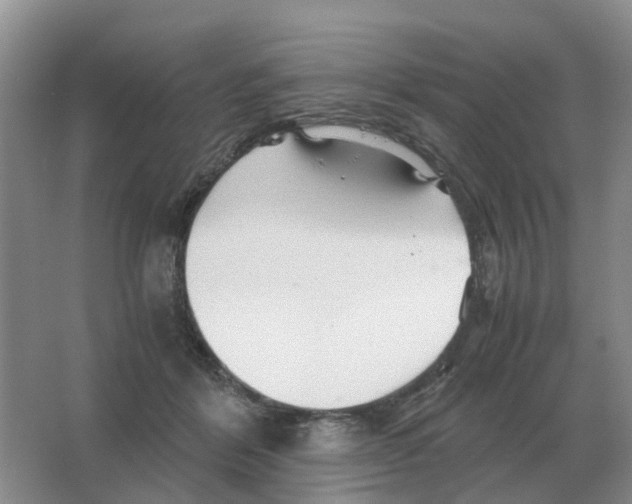 X0000063520412200602172220