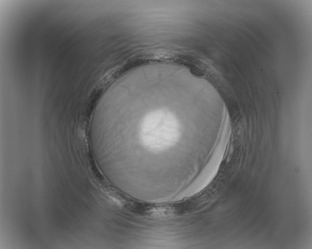 X0000063520415200602172220