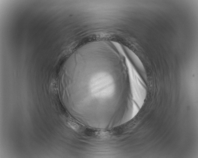 X0000063520419200602172220