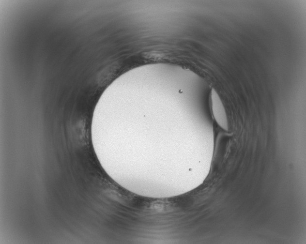 X0000063520420200602172220