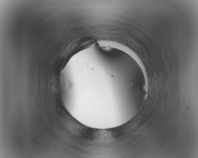 X0000063520421200602172220