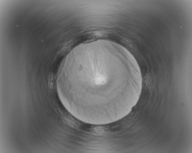 X0000063520423200602172220