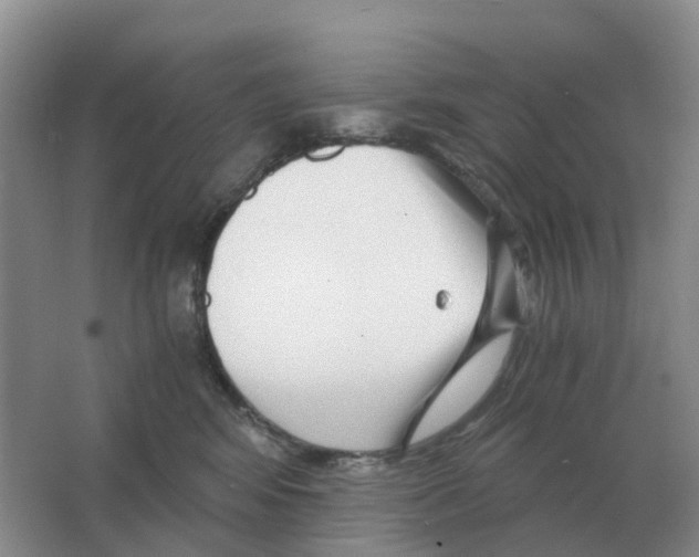 X0000063520424200602172219