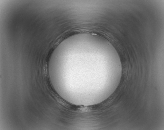 X0000063520425200602172219