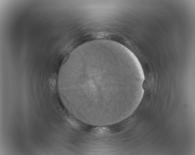 X0000063520427200602172219