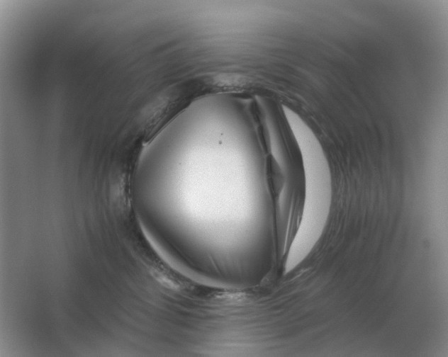 X0000063520428200602172219