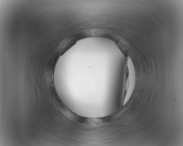 X0000063520429200602172219