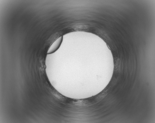 X0000063520430200602172219