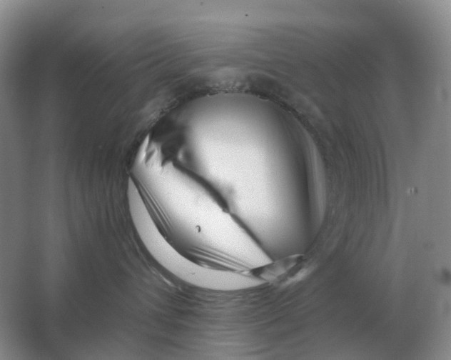 X0000063520432200602172219