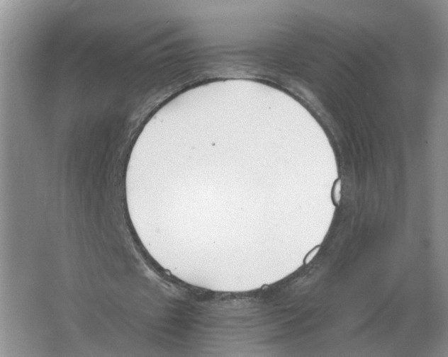 X0000063520433200602172218