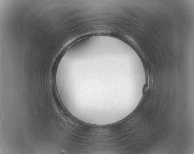 X0000063520435200602172219