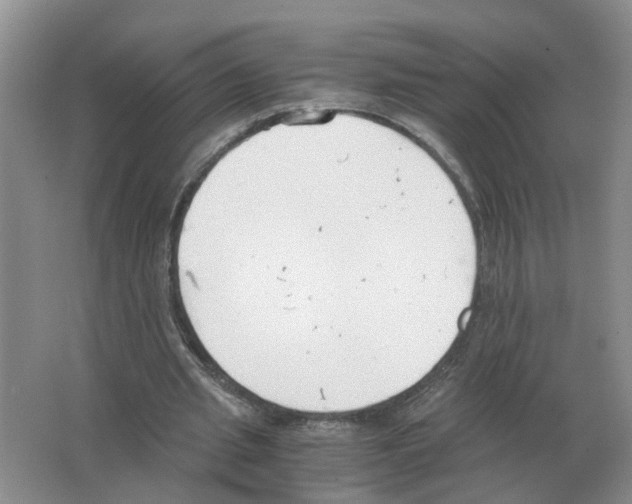 X0000063520437200602172219