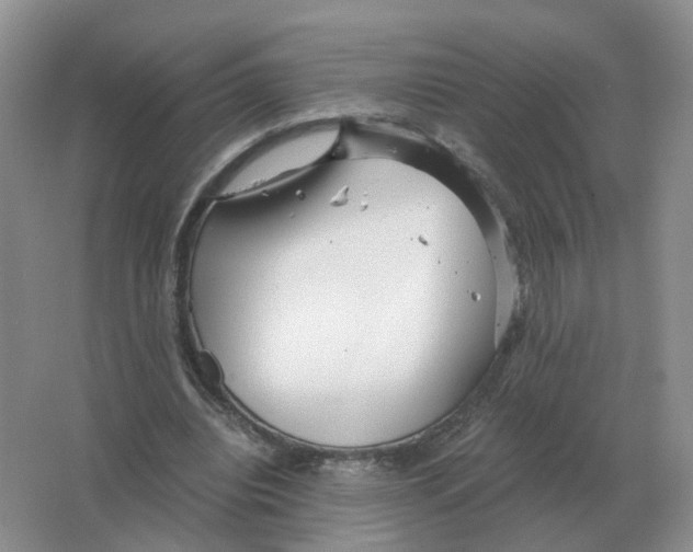 X0000063520440200602172219