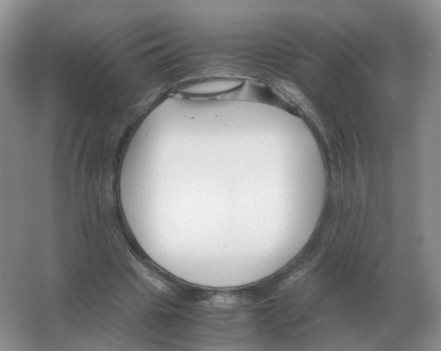 X0000063520441200602172219