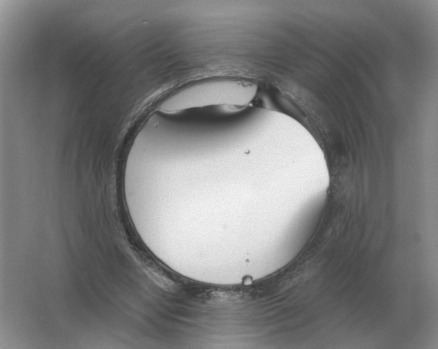 X0000063520442200602172219