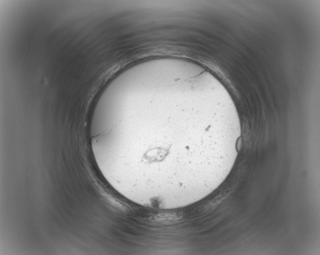 X0000063520445200602172219