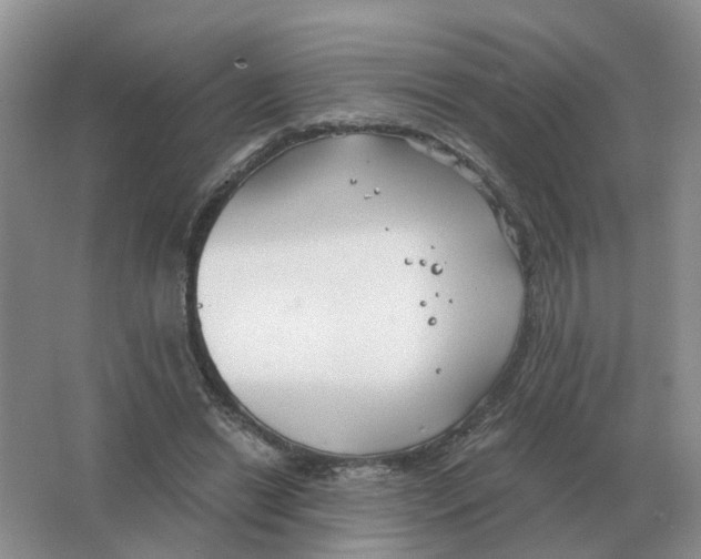 X0000063520446200602172219