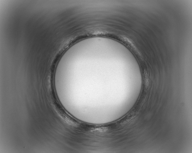 X0000063520447200602172219