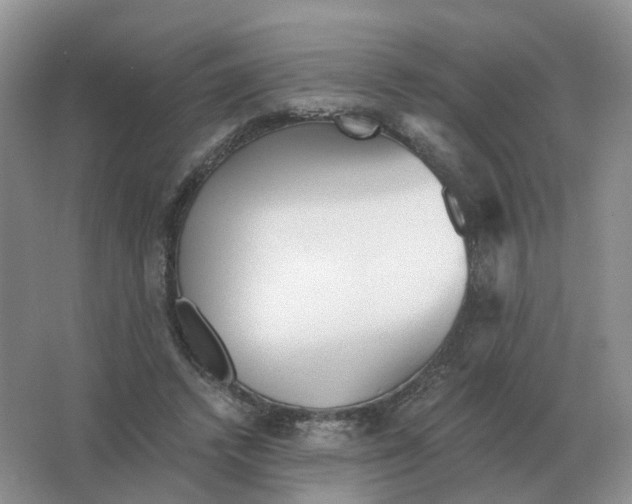 X0000063520448200602172219