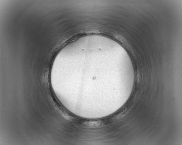 X0000063520449200602172219