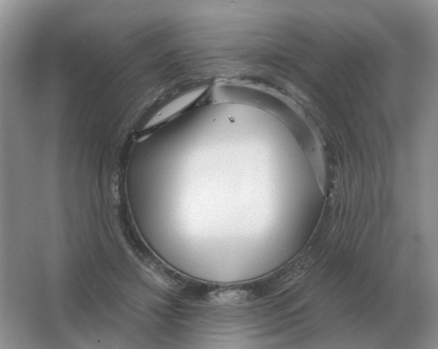 X0000063520452200602172219